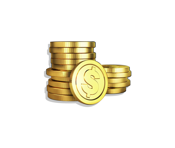 A Bag of Coins ($19.99)